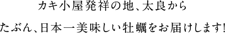 カキ小屋発祥の地、太良からたぶん、日本一美味しい牡蠣をお届けします!