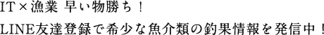 IT×漁業 早い物勝ち！ LINE友達登録で希少な⿂介類の釣果情報を発信中！